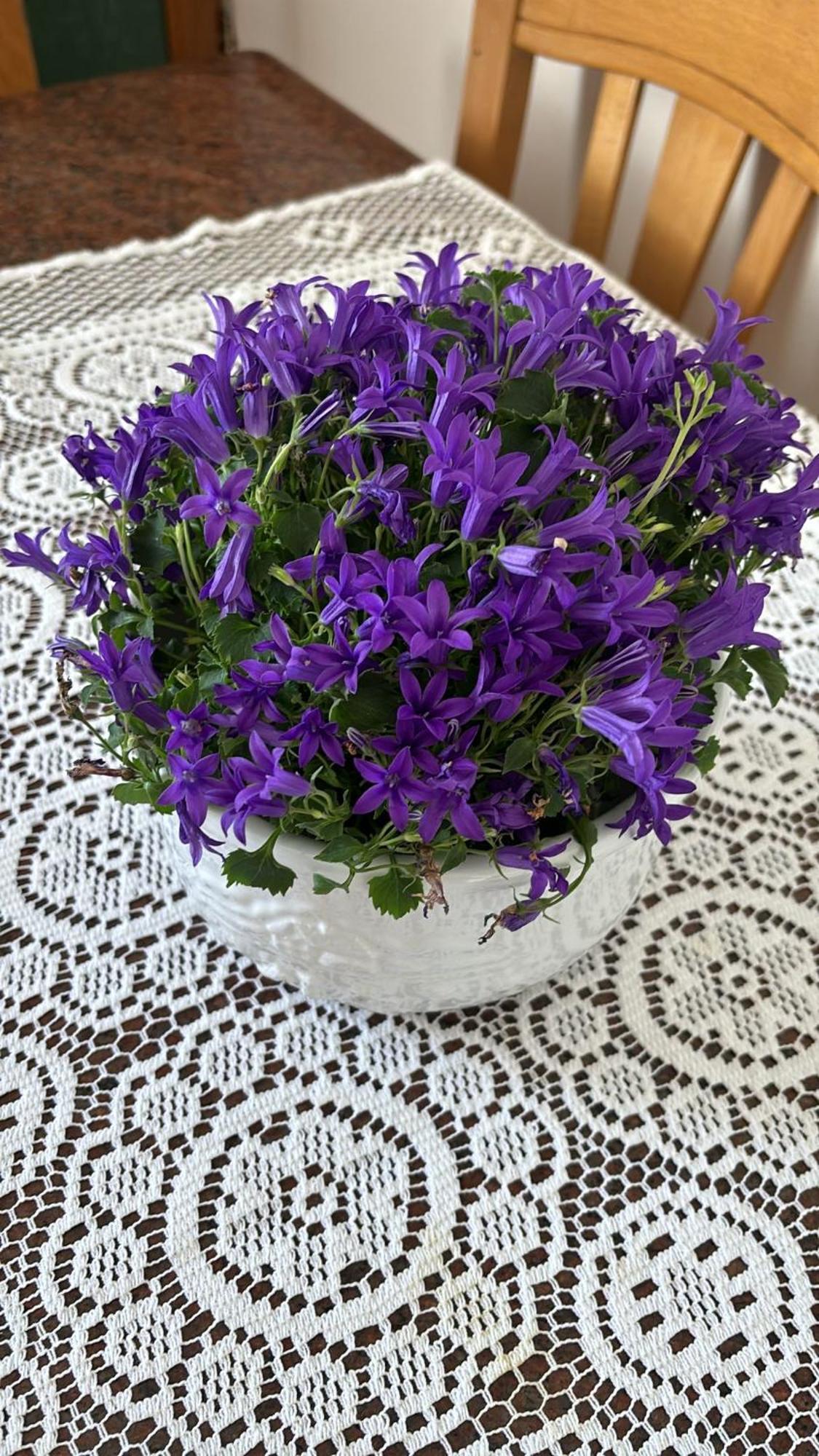 דירות קאפרי Casa Ricciulella מראה חיצוני תמונה
